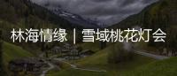 林海情缘｜雪域桃花灯会探营�
，氛围感拉满
！