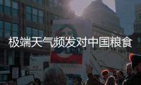 极端天气频发对中国粮食生产有何影响？