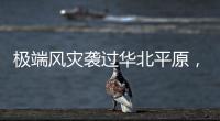 快排公司十年历程，霸屏兔 seo 的崛起与坚守