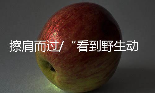 心里不由升起一种自满