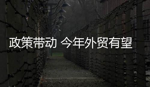 新的政策增效一年