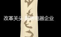 快排公司十年历程，霸屏兔 seo 的崛起与坚守
