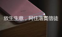 放生生意，网住落寞信徒丨记者手记