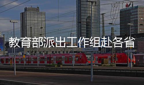 对核查发现的教育据弄假问题