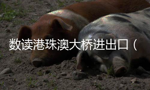 出口总运输成本节省30%至40%
