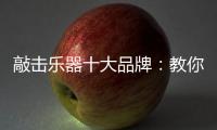 敲击乐器十大品牌：教你保养小提琴