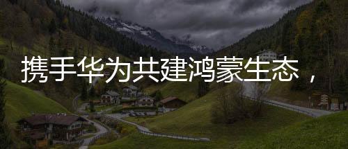 共建与华为携手共建鸿蒙生态
