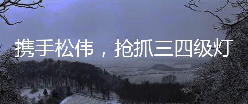 因六安消费水平较高