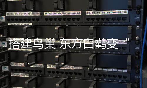 留鸟人工巢底部内径1.2米