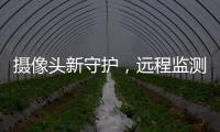 摄像头新守护，远程监测更放心