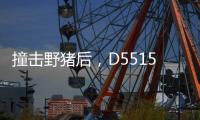 撞击野猪后	，D5515动车机械师的致命检修