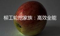 柳工轮挖家族�：高效全能，筑梦城乡建设新篇章