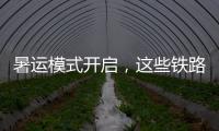暑运模式开启，这些铁路福利千万别错过