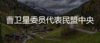 曹卫星委员代表民盟中央发言：优化国土空间格局提升土地资源保护利用水平
