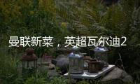 曼联新菜，英超瓦尔迪2.0，19岁踢第6级别联赛，29岁值6000万镑