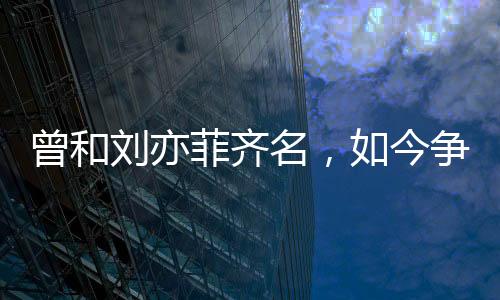 曾和争在洛杉矶的街头