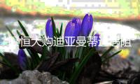 曝恒大购迪亚曼蒂遭遇阻碍 盼2月支付全款被拒绝