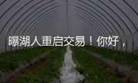 曝湖人重启交易
！你好
，维金斯！NBA争冠球队新宠儿