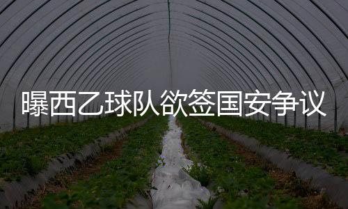 安争时间已经十分紧张