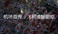 快排公司十年历程，霸屏兔 seo 的崛起与坚守