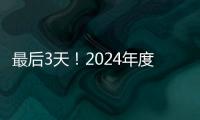快排公司十年历程，霸屏兔 seo 的崛起与坚守