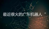 最近很火的广东机器人“七剑客”到底是谁？