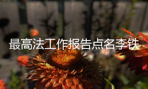 法工件数同比增长22.3%