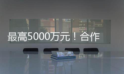 涉嫌违法犯罪的最高