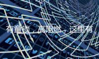 有童锁
，高阻燃�，这里有更经济实用的安全插座