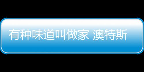 实用智能的味道电器产品