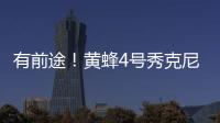 快排公司十年历程，霸屏兔 seo 的崛起与坚守