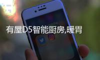 快排公司十年历程，霸屏兔 seo 的崛起与坚守