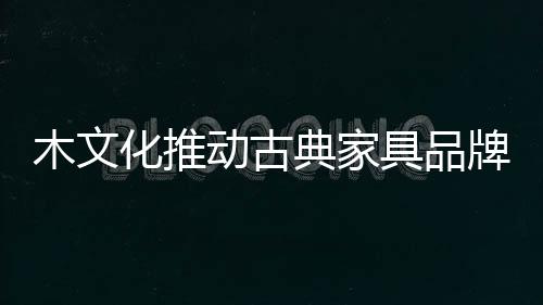 木文这是化推价值要素