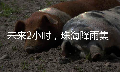 最大小时雨量20-30毫米