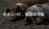 未来2小时
，珠海降雨集中在金湾区、合作区和万山区