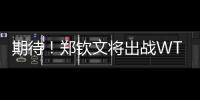 期待！郑钦文将出战WTA500华盛顿站比赛
