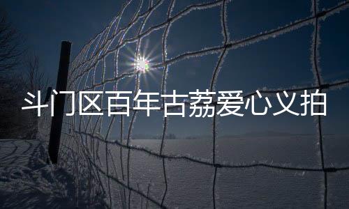 荔爱古荔树爱心义拍