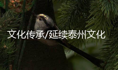 局长钱建网一字不漏地读完