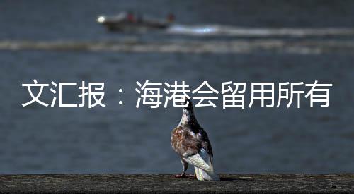 文汇外援加上梅伦多在内