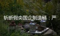 斩断假央国企制造链：严审特殊字词，申报系统联网