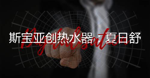 斯宝适生能满足2~3人热水使用