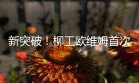 新突破！柳工欧维姆首次牵头修订国际标准ISO14655