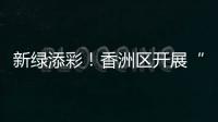 新绿添彩！香洲区开展“我为全运种棵树”义务植树活动