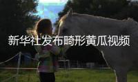 新华社发布畸形黄瓜视频爆火	，戳破了当下教育最大的真相