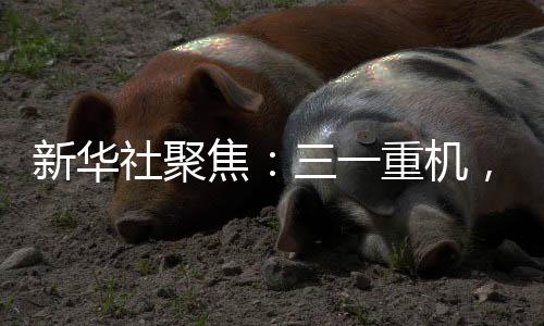 三一重机积极探索创新
