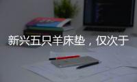 新兴五只羊床垫	，仅次于五星级的睡眠体验!