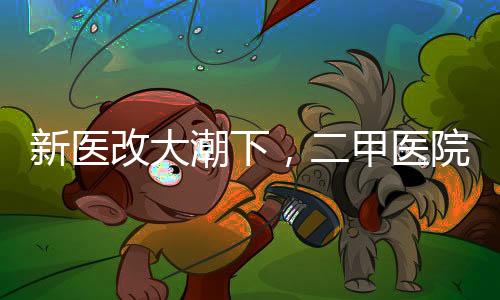 甲医夹缝2025年5月27日
