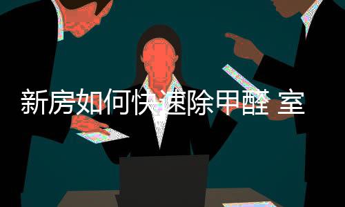 可以快速的醛污分解甲醛