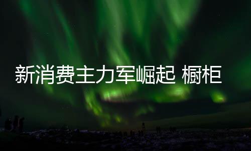 崛起解用在装修厨房时