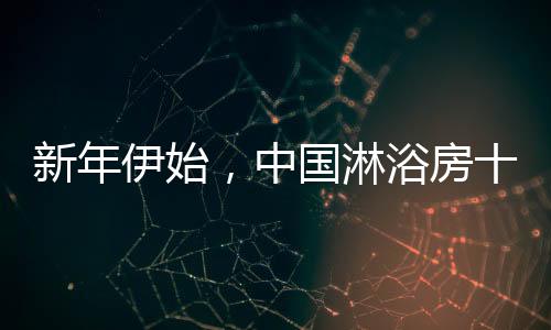中国对于过长的淋浴量品类名